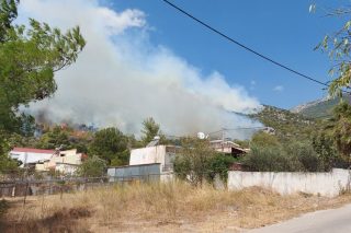agia paraskeui menidi fotia
